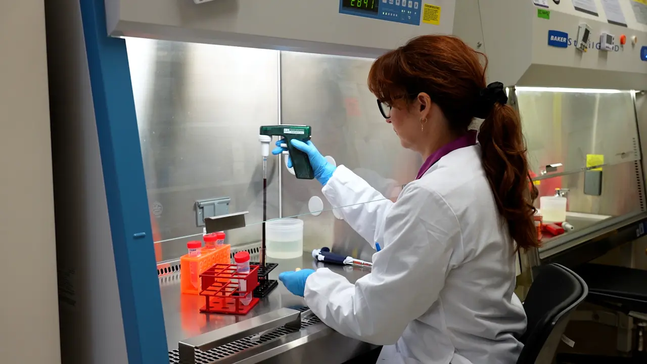 Prediction of Red Blood Cell Antibody Significance Using the Monocyte-Macrophage Assay