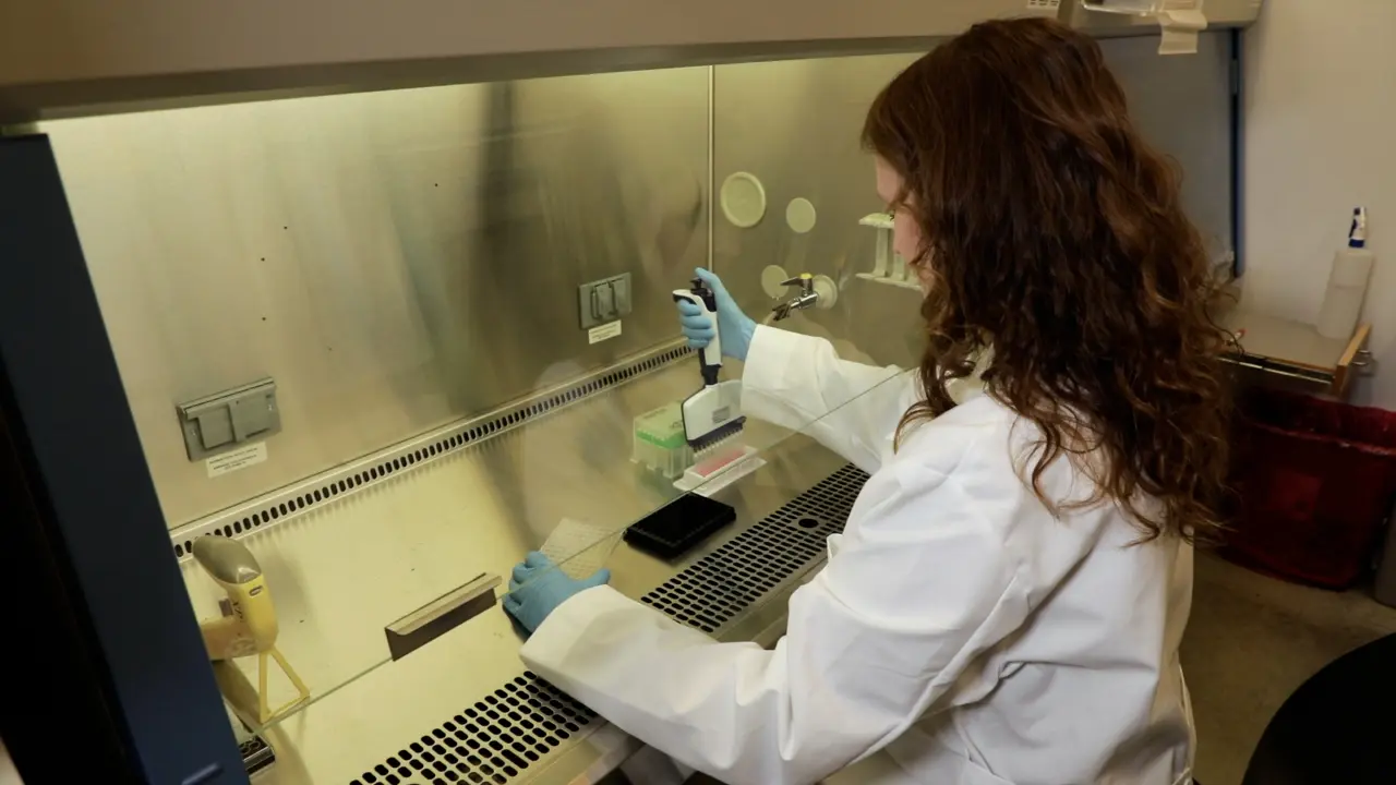 MEDUSA for Identifying Death Regulatory Genes in Chemo-genetic Profiling Data
