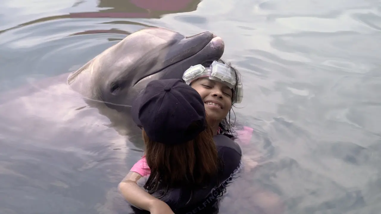 Electroencephalographic Signal Acquisition Framework for Neurodiverse: A Case Study of Dolphin-Assisted Therapy