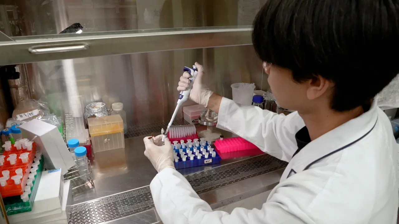 Studying Copper Nanoparticle-Induced Programmed Cell Death in Bacteria