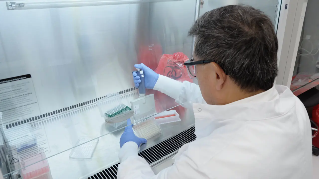 A Streamlined, Label-Free Real-Time 50% Tissue Culture Infectious Dose (TCID50) Assay using Impedance for Automated Viral Titer Quantification