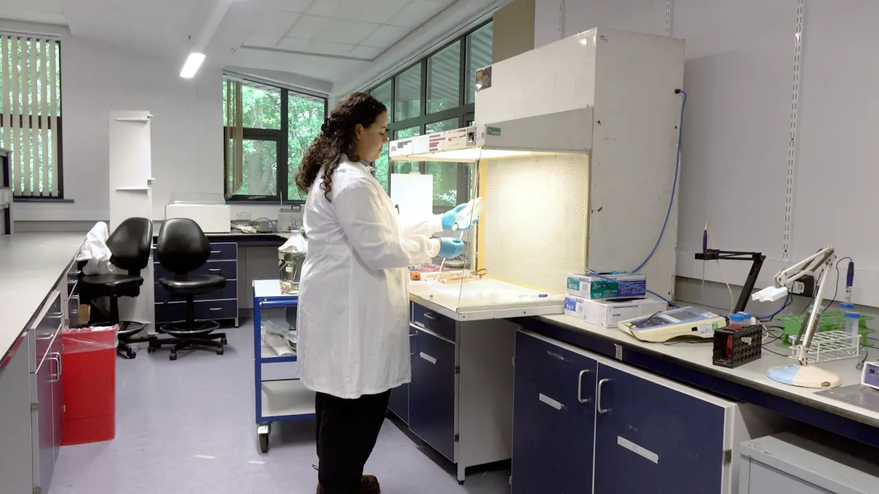 An <em>In Vitro</em> Bladder Model of Catheter-Associated Urinary Tract Infection