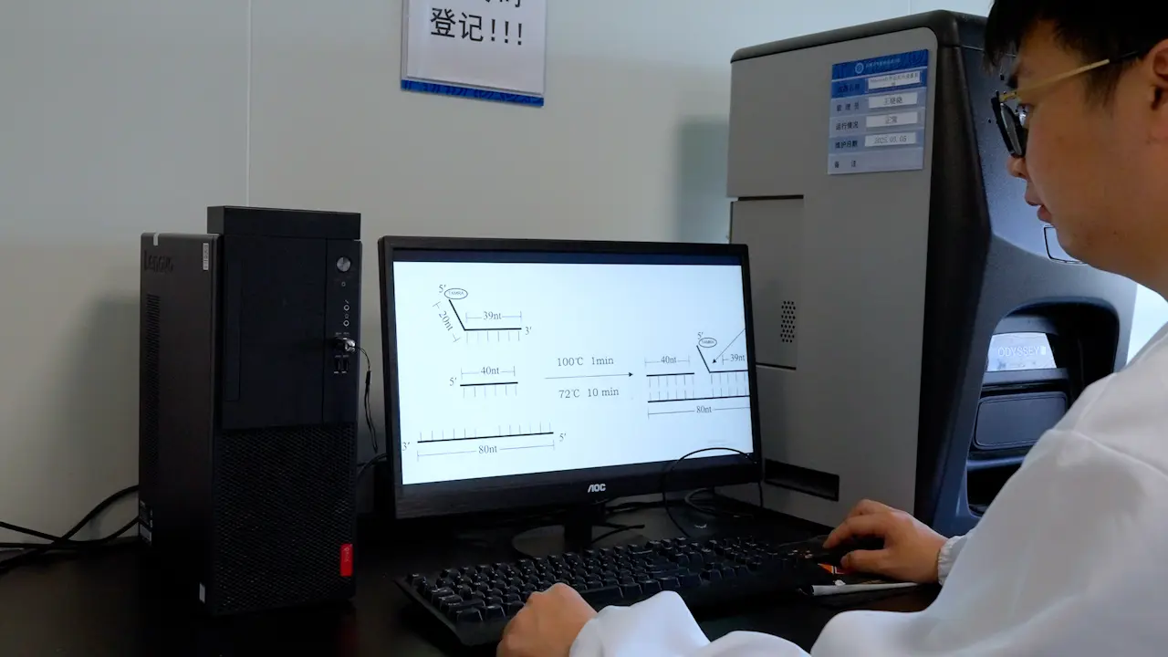Fluorescence-Based Detection of FEN1 Nuclease Activity and Screening of Small-Molecule Inhibitors