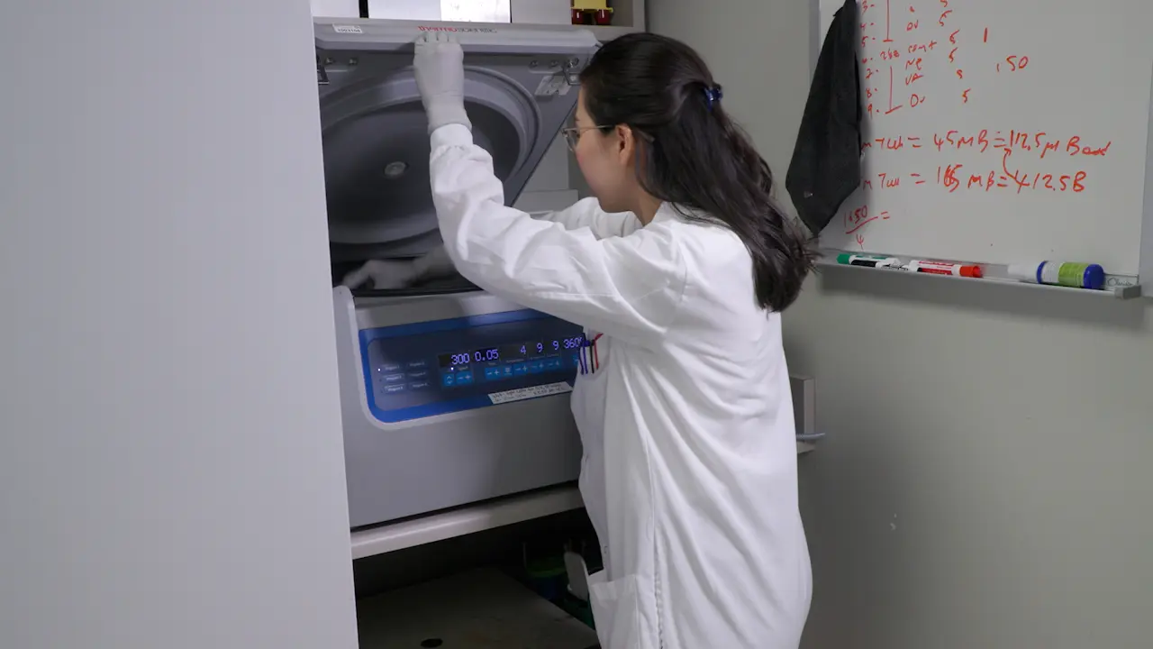 Studying Interactions between Myeloid Cells and CAR T Cells <em>In Vitro</em> and <em>In Vivo</em>