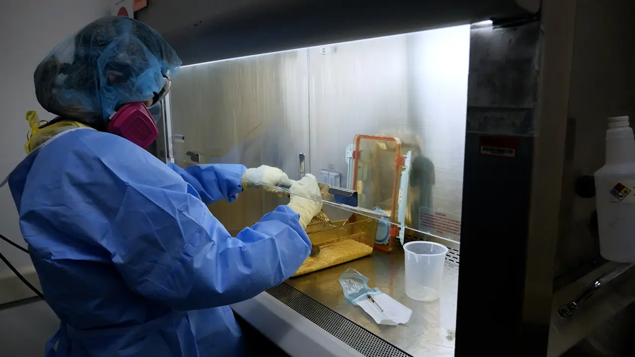 Preparation and Maintenance of Bioexclusion IsoPositive Cage Experiment for Human Fecal Transplantation into Germ-Free Mice