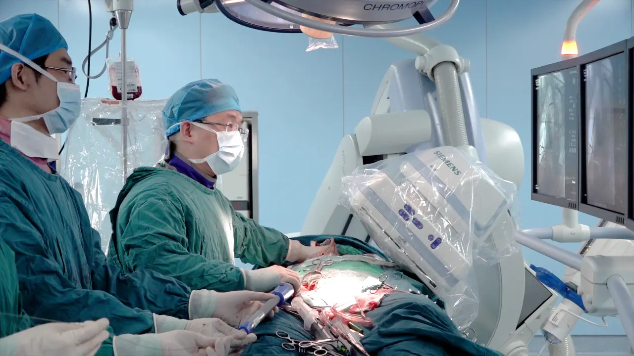 Novel and Innovative Hybrid Technique for Type A Aortic Dissection