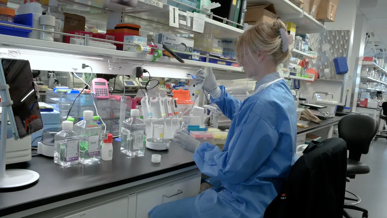 Mycobacterial DNA Extraction using Bead Beating in Custom Buffer Followed by NGS Workflow