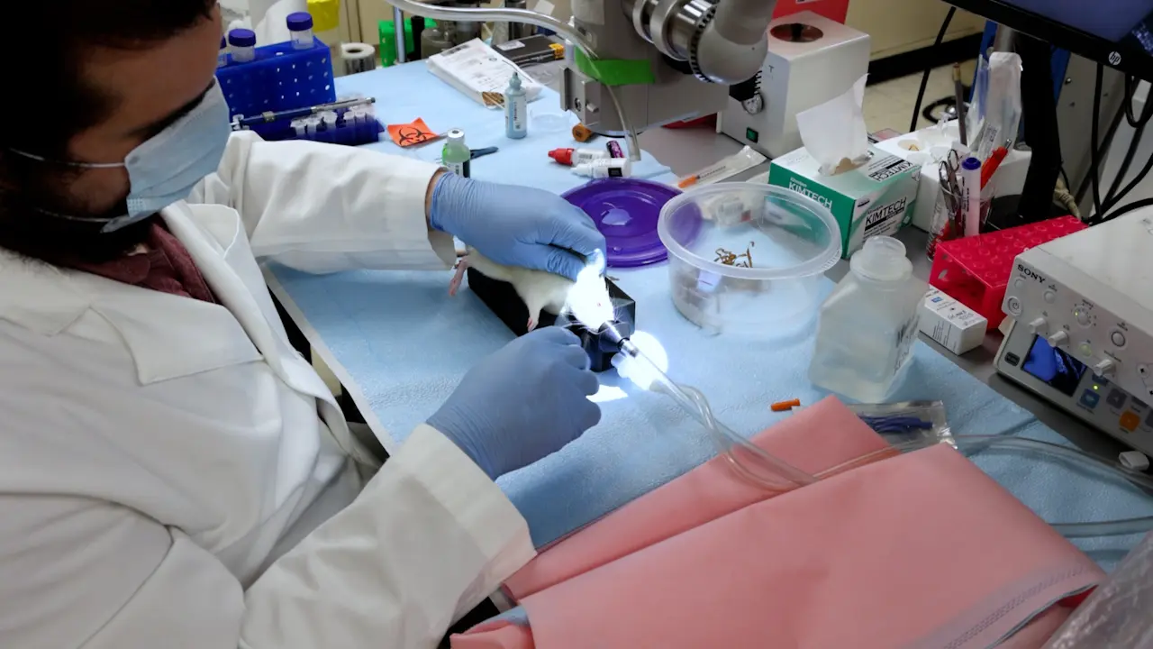 Ocular Therapeutic Delivery and Advanced Tissue Retrieval in Adult Rats