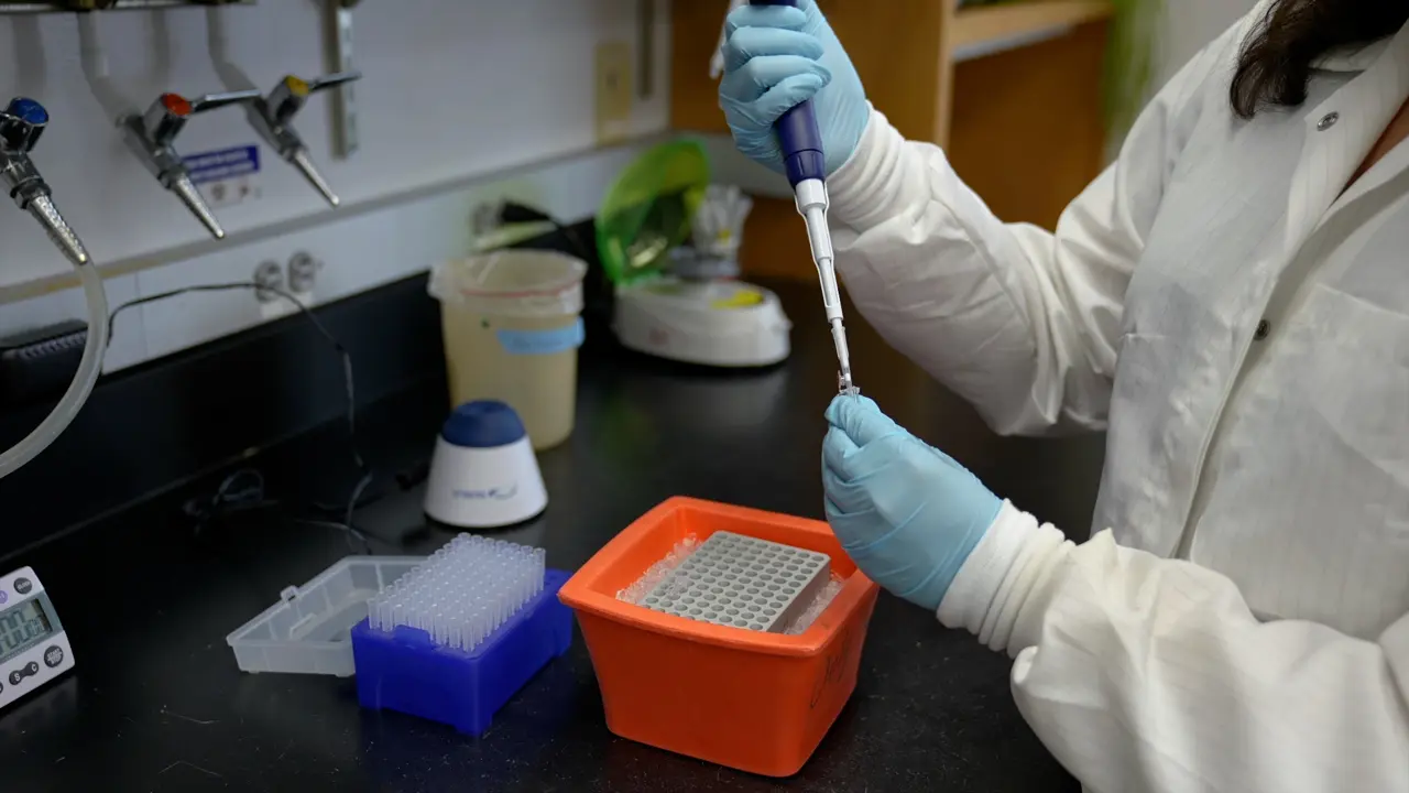 CRISPR Epigenome Editing in Human Cells using Plasmid DNA Transfection and mRNA Nucleofection Delivery