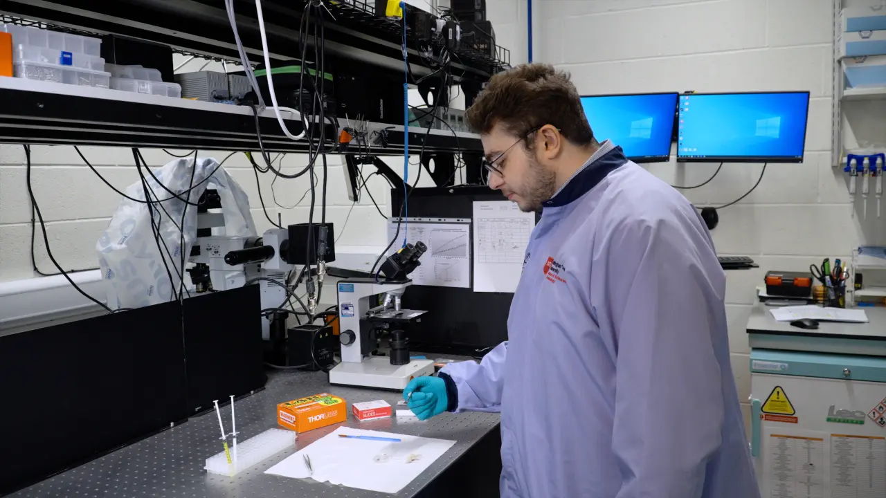 Monitoring Conformational Dynamics of Single Unmodified Proteins using Plasmonic Nanotweezers