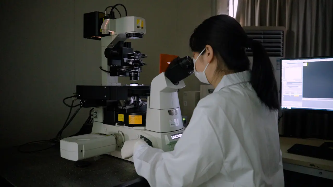 Determination of Mitochondrial Morphology in Live Cells Using Confocal Microscopy