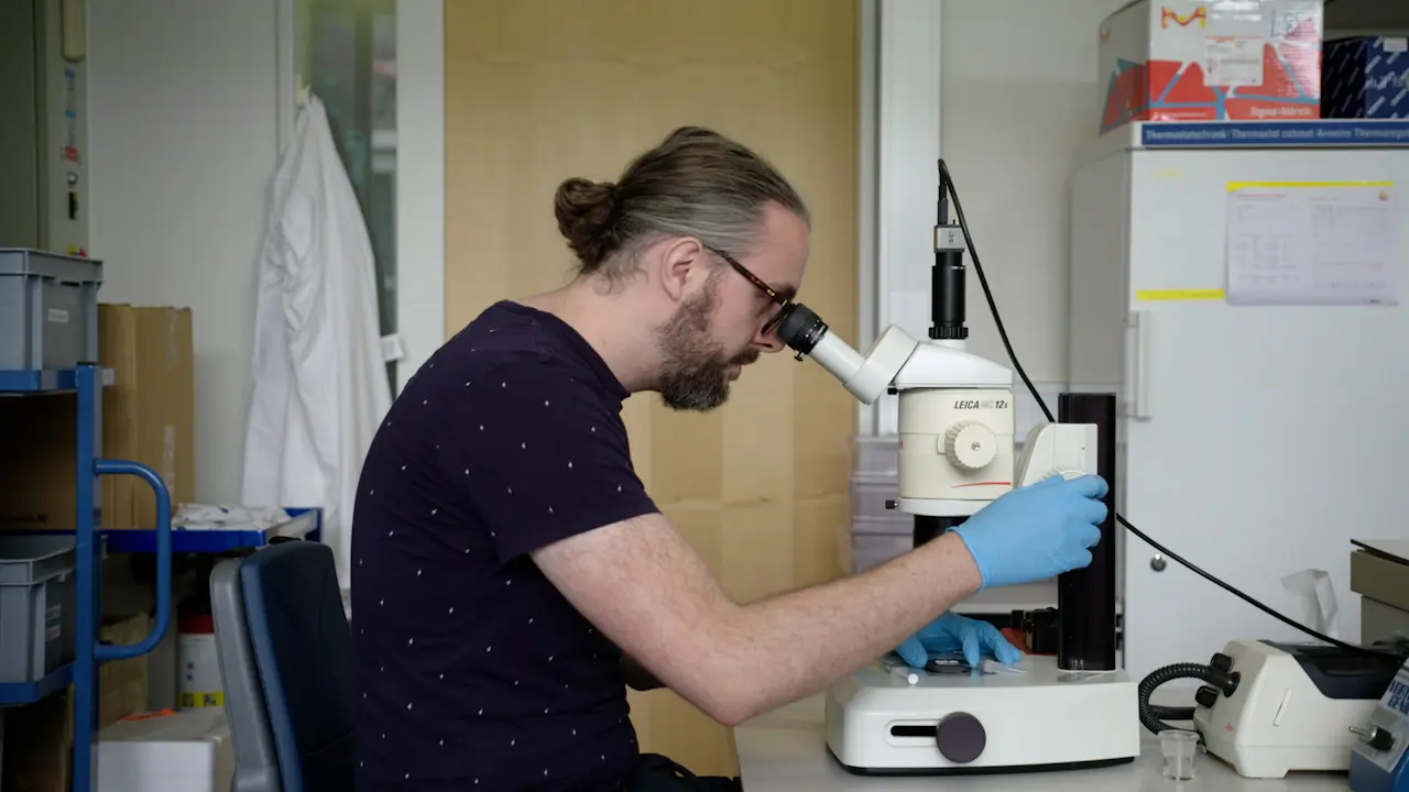 High-Resolution <em>C. elegans</em> Imaging Across All Larval Stages