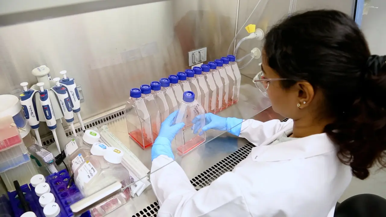 Mitochondrial Preparation from Microglia for Glycan Analysis