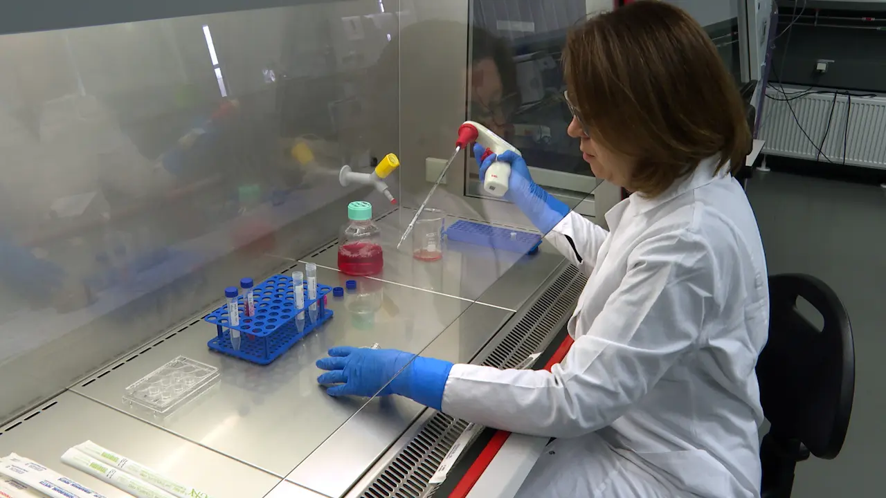 Validated Immunochemical Assay for Comprehensive Determination of the Human Epidermal Growth Factor Receptor 2 Released from and Bound to Cells