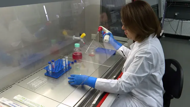 Validated Immunochemical Assay for Comprehensive Determination of the Human Epidermal Growth Factor Receptor 2 Released from and Bound to Cells