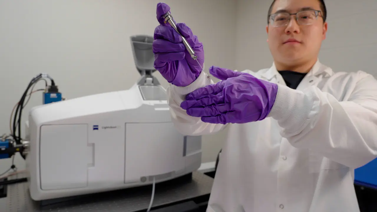 Rapid Whole-Mount High-Resolution Imaging of Small Animal Vasculature for Quantitative Studies