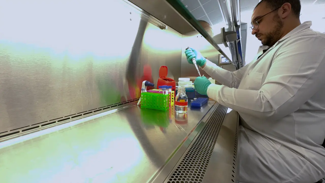 Enzymatic Modification and Flow Cytometry Assessment of Yeast Surface Displayed Proteins