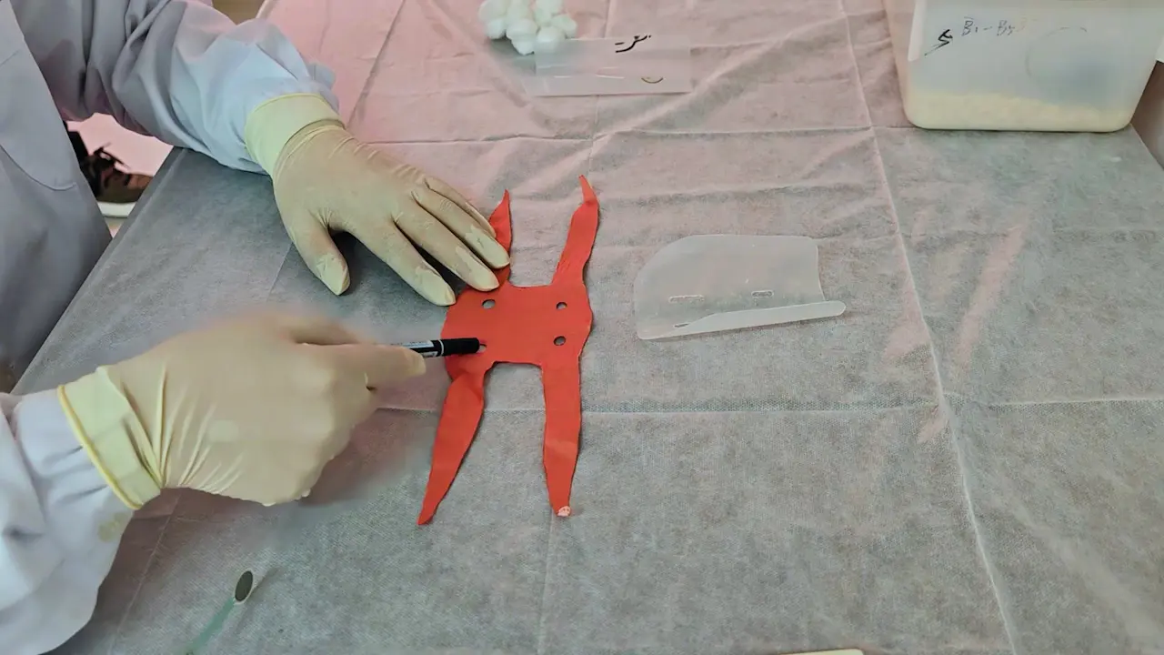 Fixation and Operational Method for Abdominal Massage in T2DM Mice