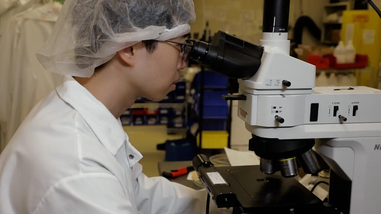 Optimized Fabrication Procedure for High-Quality Graphene-based Moiré Superlattice Devices
