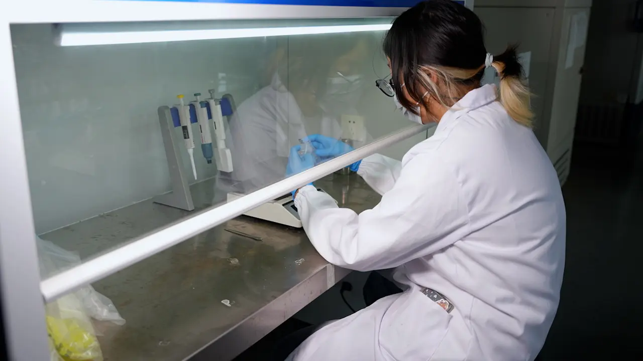 Separation and Differential Characterization of Gut Microbial Extracellular Vesicles in Salt-Sensitive Rats under High-Salt Diet Conditions