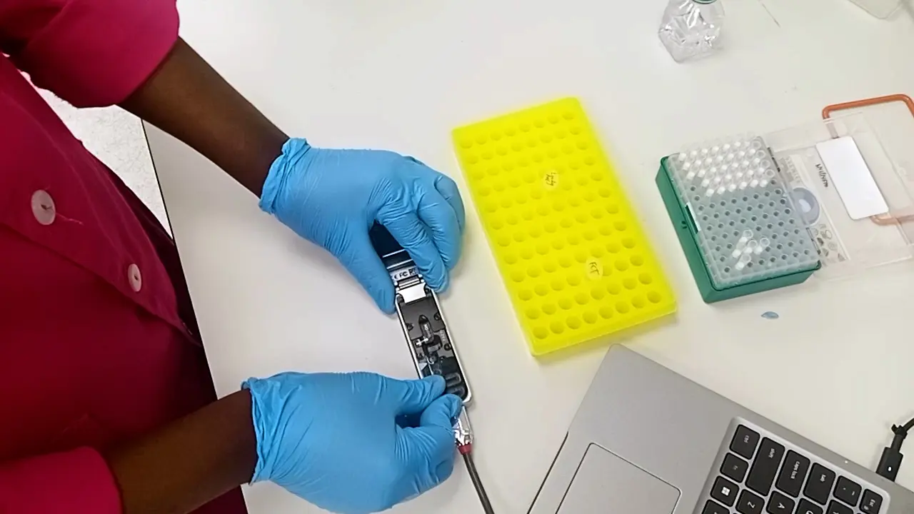 Amplicon Sequencing using the Long-Read Sequencing Technologies