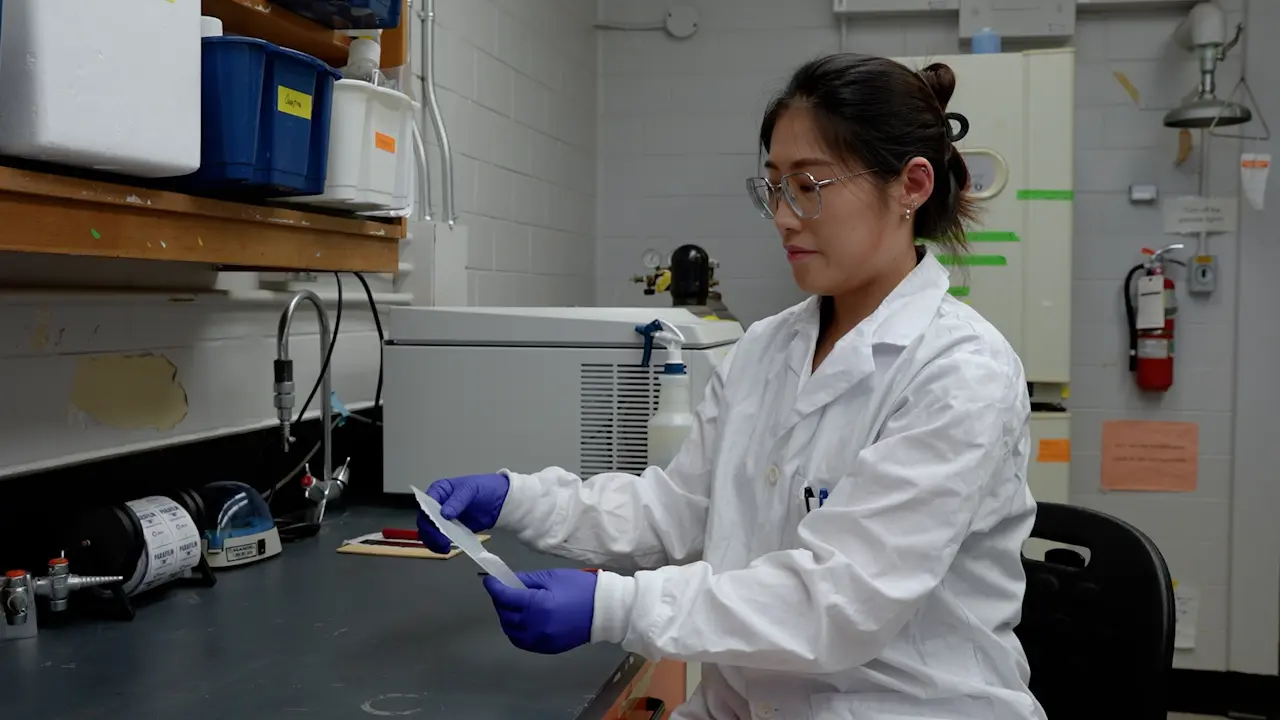 Reproducible Manufacturing of SPOT as a High-throughput Scaffold-based Culture Platform