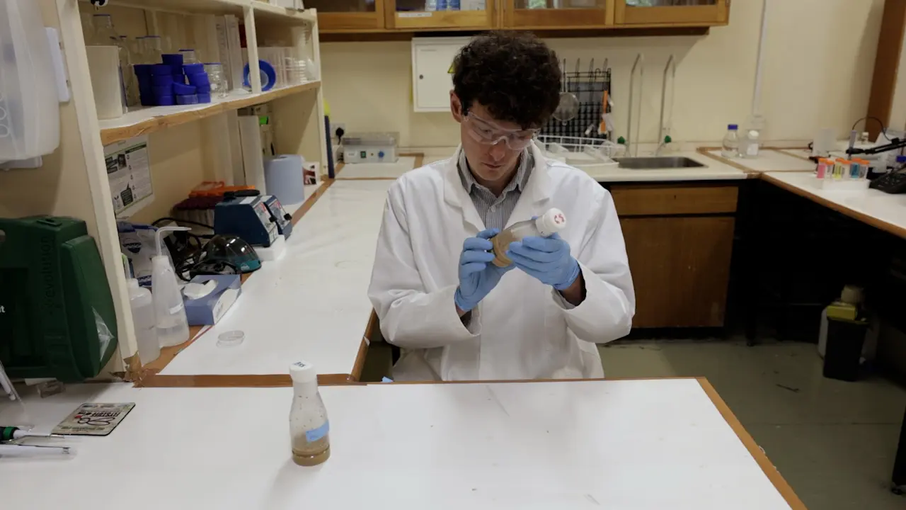 Seizure Activity Induced by Electroshock in <em>Drosophila</em> Larvae
