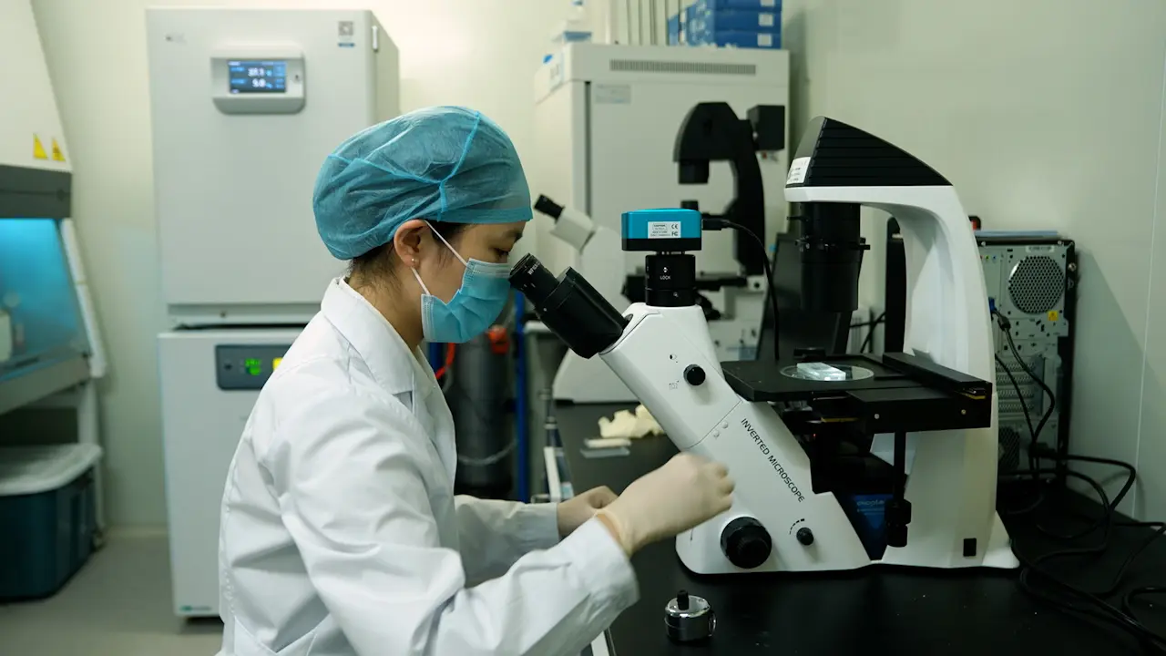 Precision Ultrasound-guided Stem Cell Delivery for Vascular Repair in Aortic Diseases