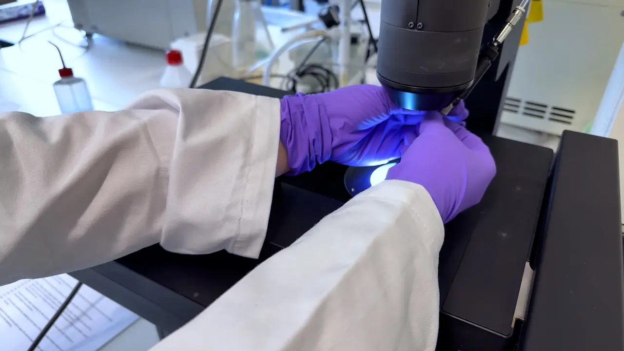 Automating Tumor Implantation in Zebrafish Larvae for Cancer Research and Medicine