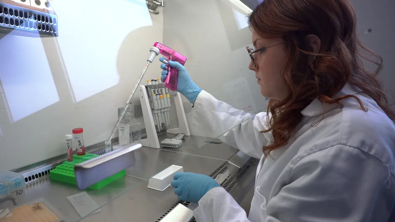 BRET-based G Protein Biosensors for Measuring G Protein-Coupled Receptor Activity in Live Cells