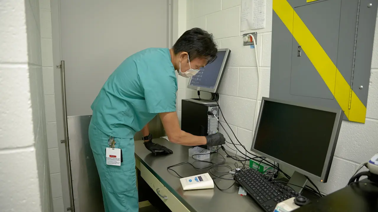 Assessment of Knee Hyperalgesia in Mice using Pressure Application Measurement
