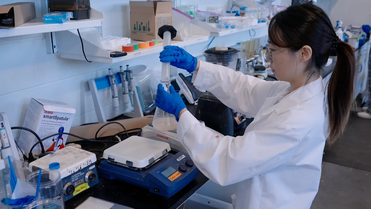 Scalable Step-by-Step Approach of Sustainable Bioplastic Production from Food Waste
