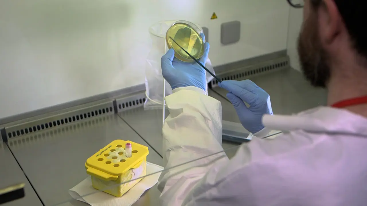 Chicken Embryo as an <em>In Vivo</em> Model to Revive Viable but Non-Culturable Pathogens