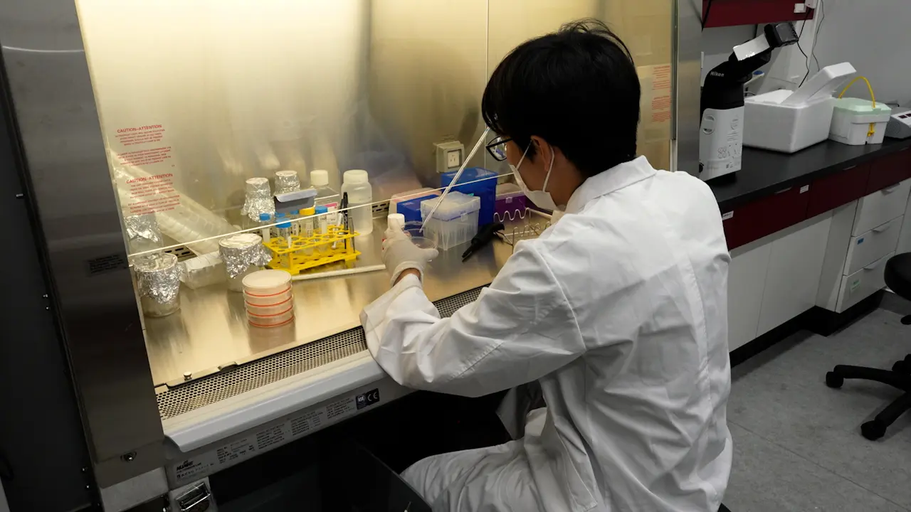 Real-Time Metabolic Detection in Living Cells Using Hyperpolarized <sup>13</sup>C NMR