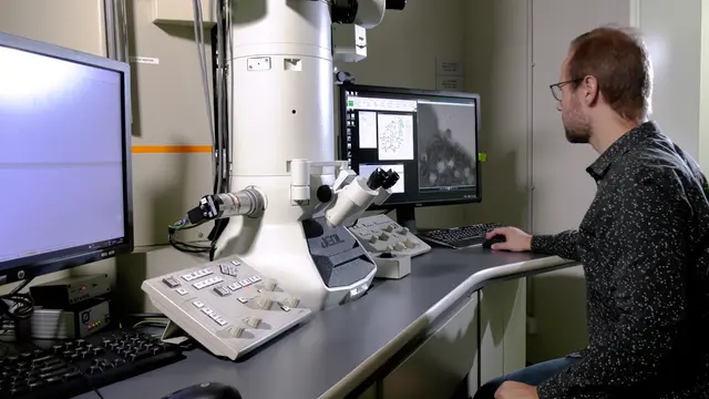 Scanning Transmission Electron Microscopy Tomography in Virology: 3D Imaging of High-pressure Frozen, Freeze-substituted Samples