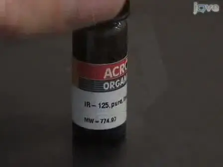  Labeling Stem Cells with Fluorescent Dyes for non-invasive Detection with Optical Imaging