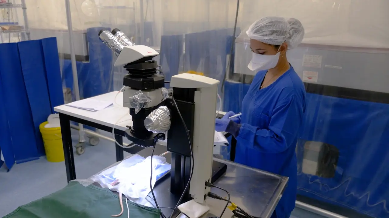 Accessing the Subdural Space of the Rodent Spinal Cord for Treatment Delivery