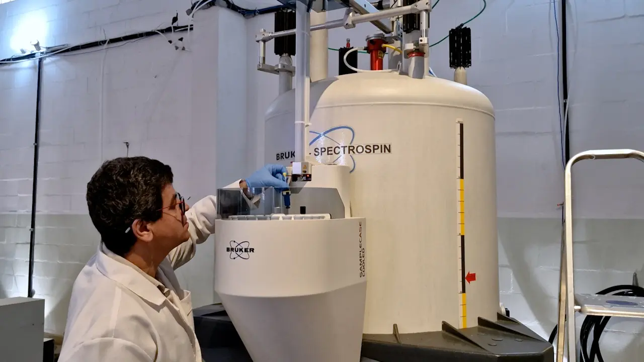 Exploring Protein-Glycan Interactions: Advances in Nuclear Magnetic Resonance