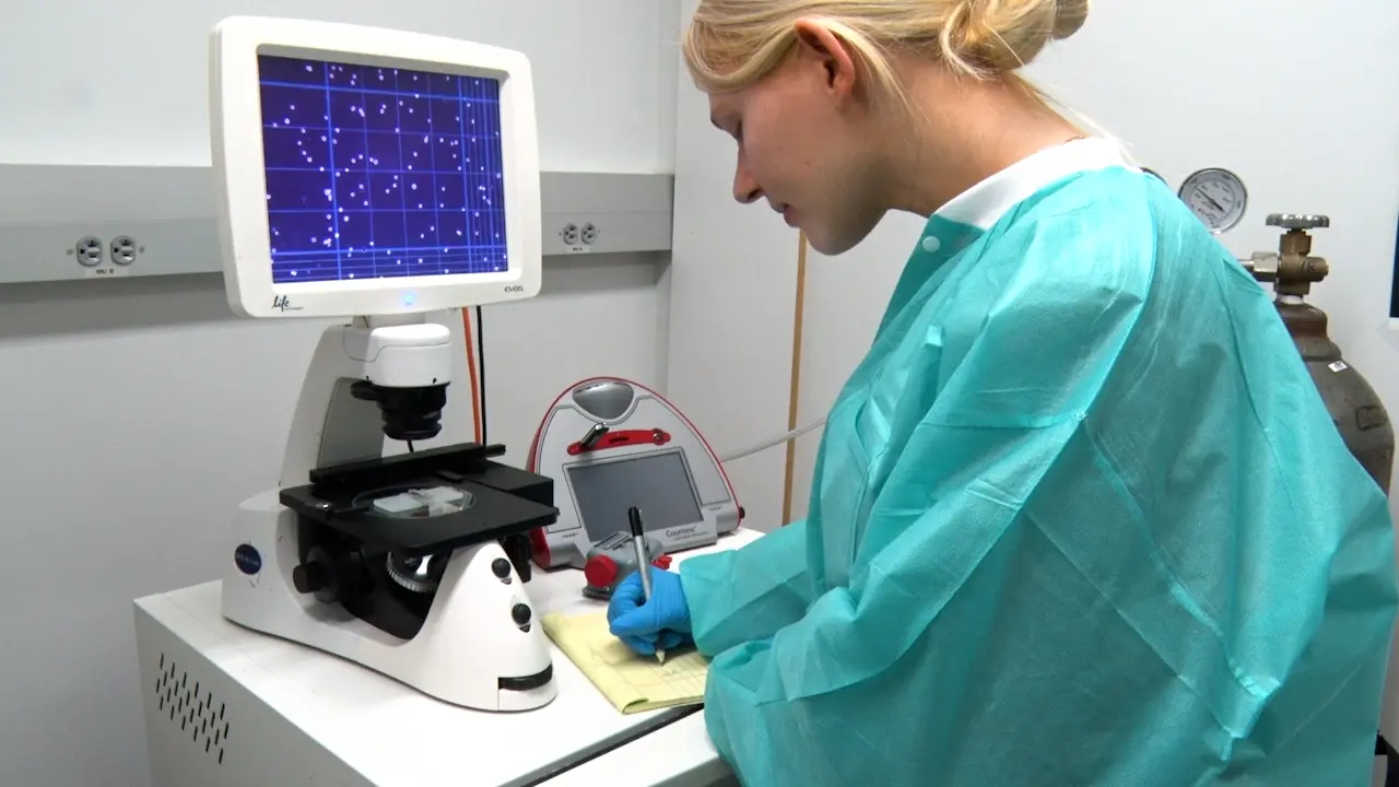 A Minimally Invasive Method for Generating a Syngeneic Orthotopic Mouse Model of Lung Cancer
