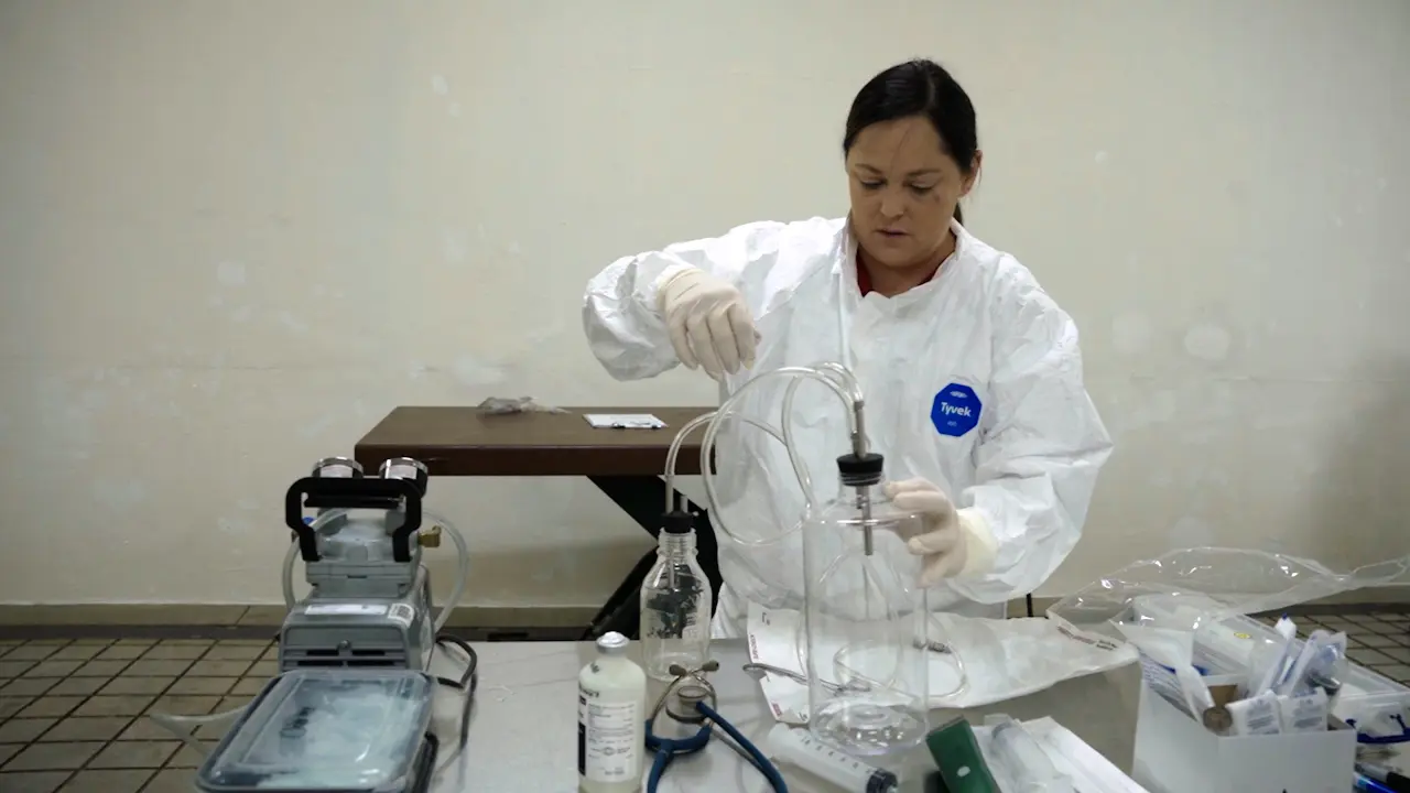 Large Volume Blood Collection from Swine for <em>In Vitro</em> Applications: Use of Intracardiac Cannulation and a Vacuum Pump as a Terminal Procedure