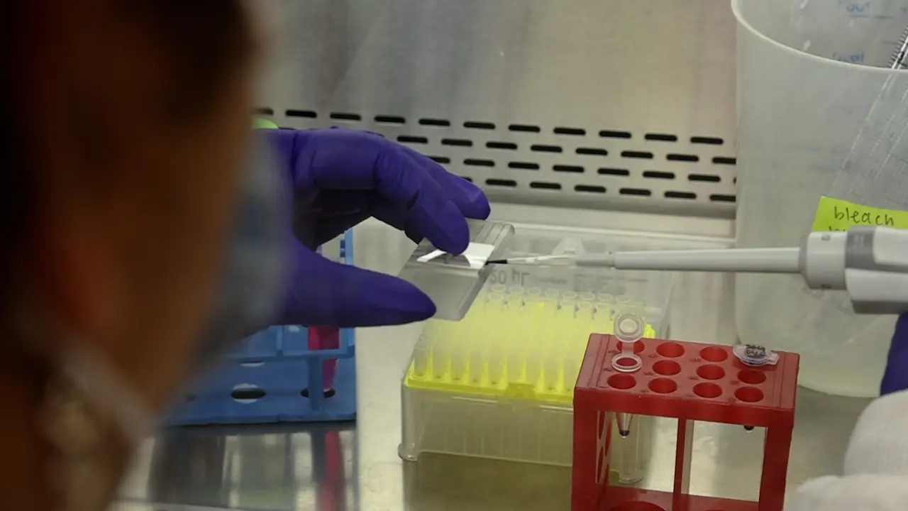 Rapid Optimization of a Light-Inducible System to Control Mammalian Gene Expression