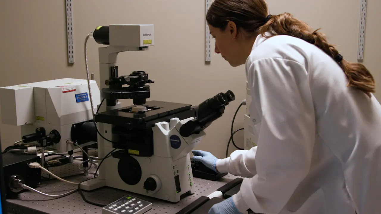 Preparing Porcine Eyes for Confocal Reflectance Microscopy to Visualize the Vitreous Collagen Fiber Network