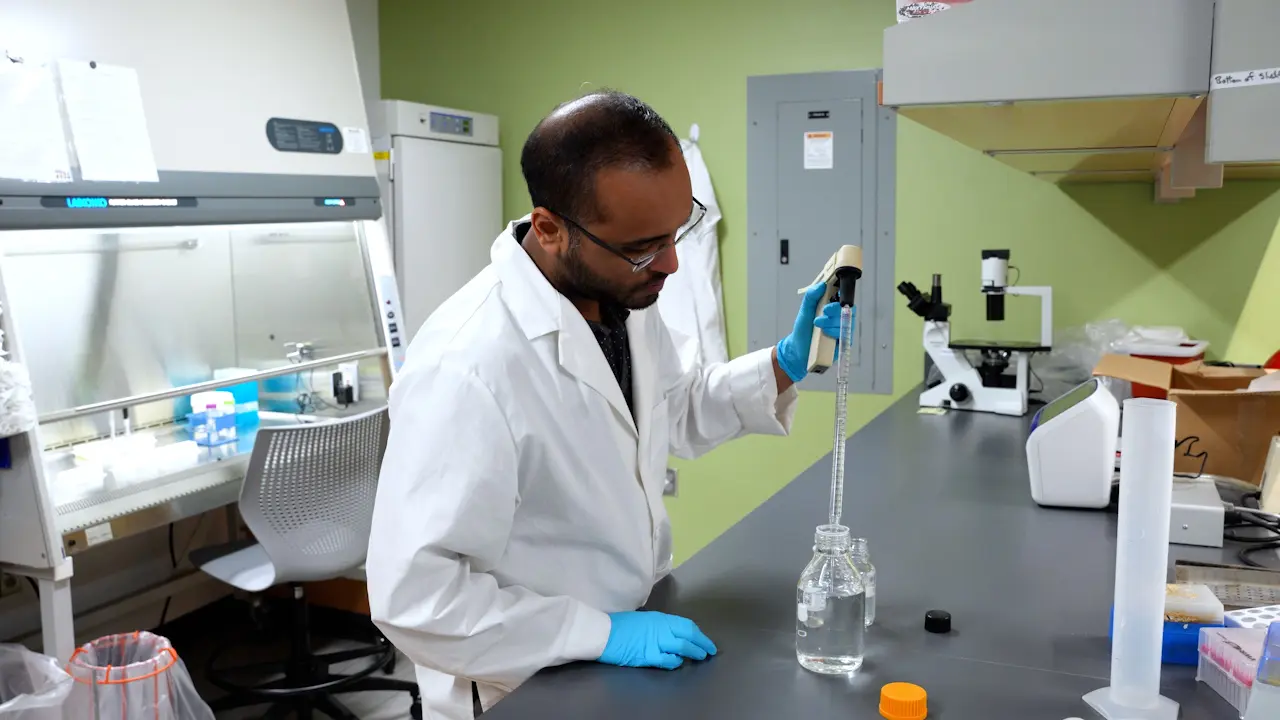Quantification of Endothelial Fatty Acid Uptake using Fluorescent Fatty Acid Analogs