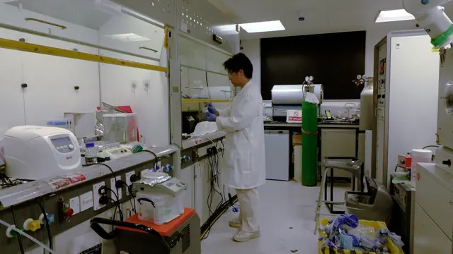 Solar-Driven Electrochemical Green Fuel Production from CO<sub>2</sub> and Water Using Ti<sub>3</sub>C<sub>2</sub>T<sub>x</sub> MXene-Supported CuZn and NiCo Catalysts