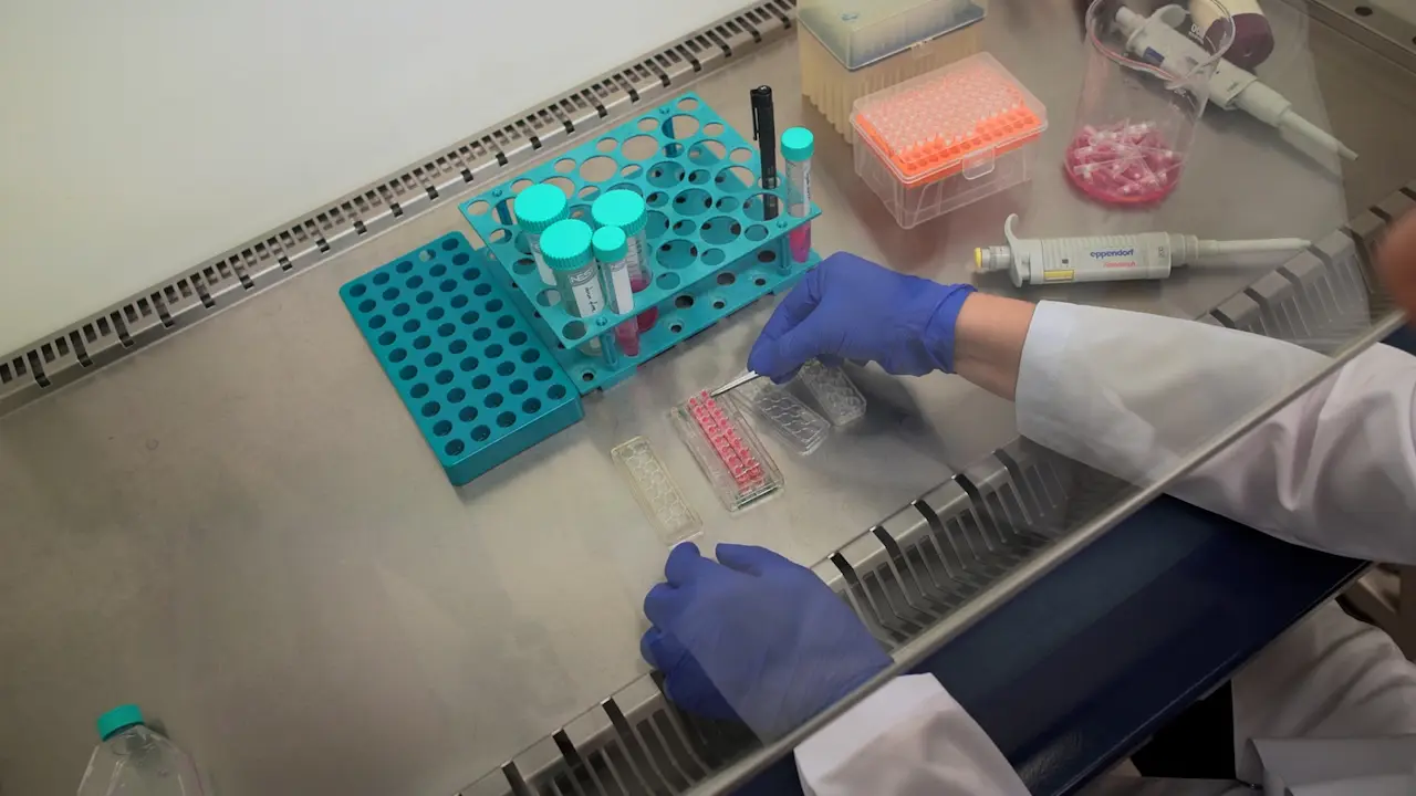 Evaluating the Effect of SASP Factors on the Proliferation of Cancer Cells Using a Comparative Analysis of Three Distinct Methodologies