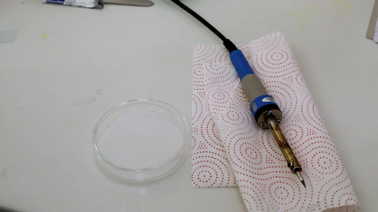 Extraction of Saliva, Haemolymph, Salivary Glands, and Midgut from Individual Ticks (Acari: Ixodidae)