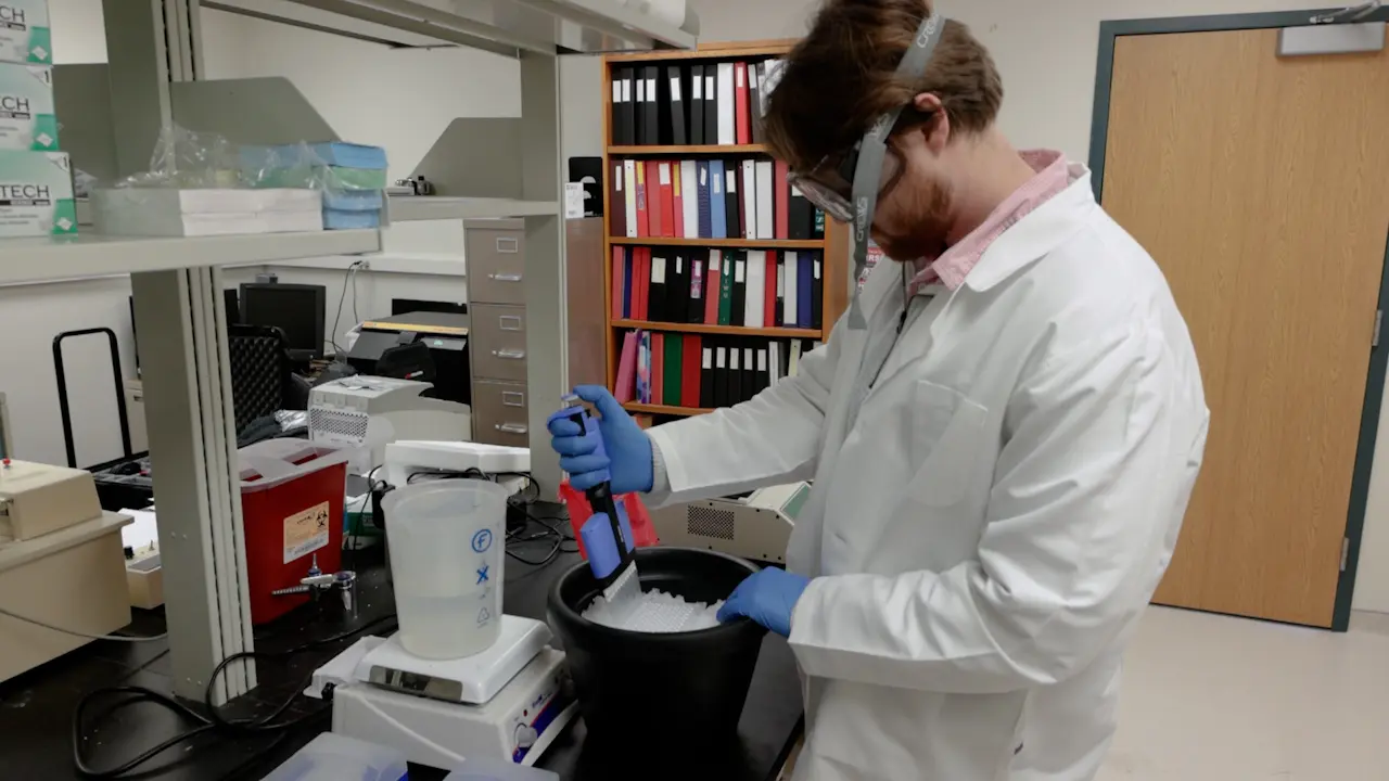 Radiochemical Assessment of Glycogen Synthase Enzyme Activity in Animal Tissue