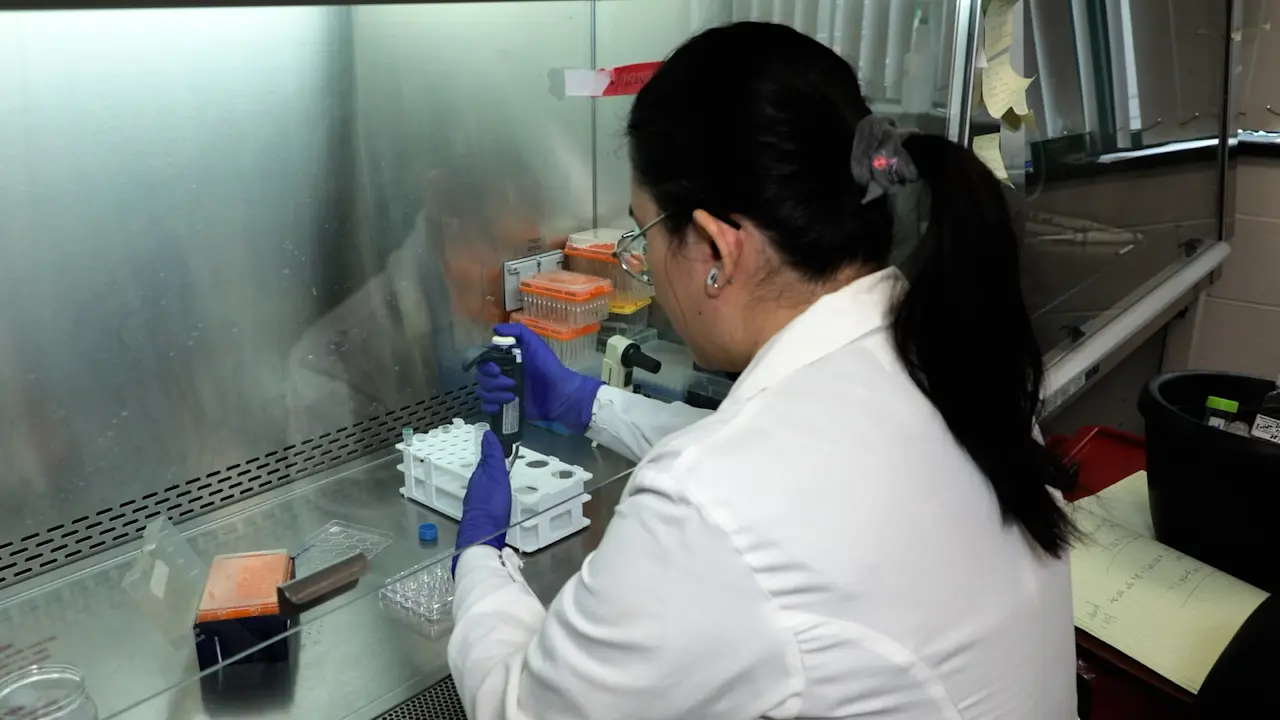 <em>In Vitro</em> Resident Memory CD8 T Cell Differentiation Using Epithelial Organoid-T Cell Co-culture System