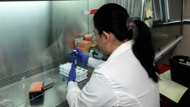 <em>In Vitro</em> Resident Memory CD8 T Cell Differentiation Using Epithelial Organoid-T Cell Co-culture System