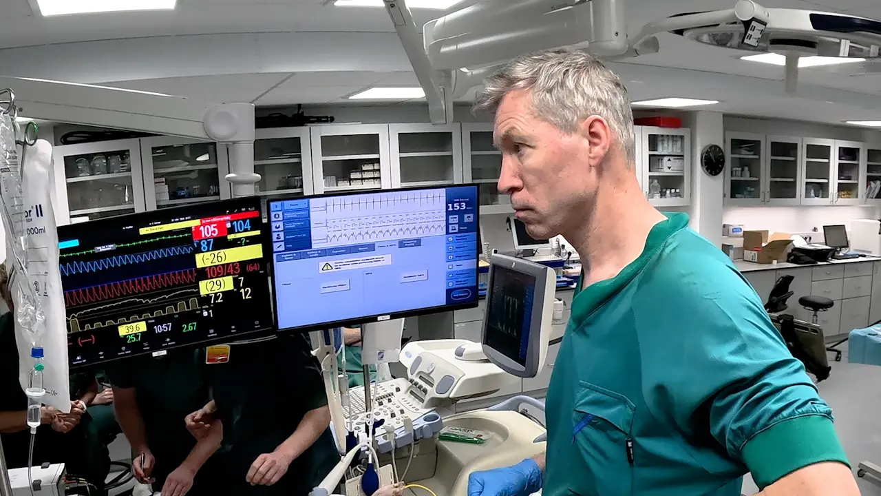 Porcine Cardiac Arrest Model Using an Implantable Defibrillator